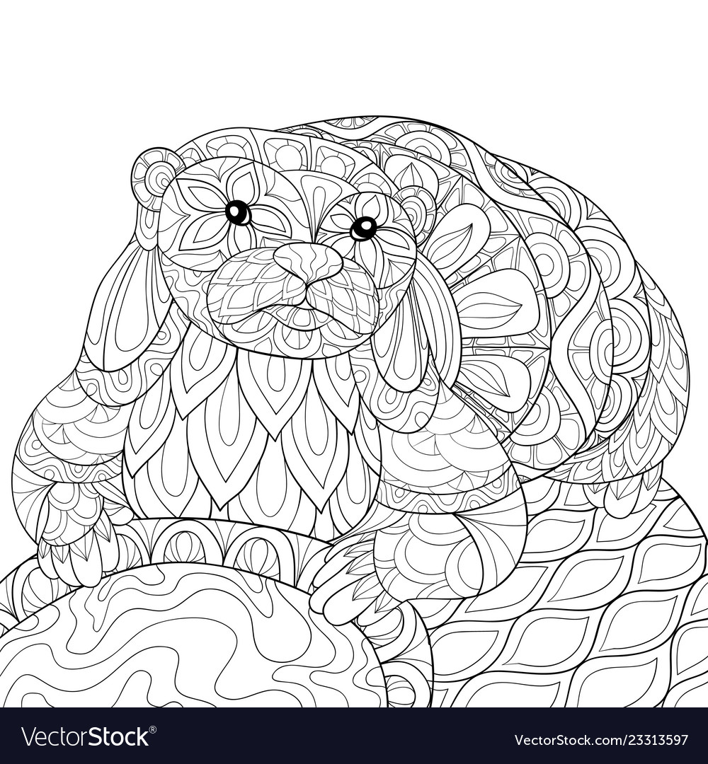 Adult coloring bookpage a cute otter on the stone vector image