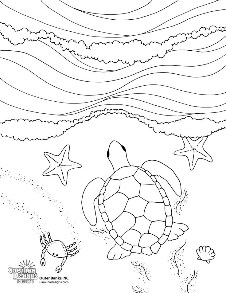 Turtle beach turtle coloring pages coloring pages sea colour