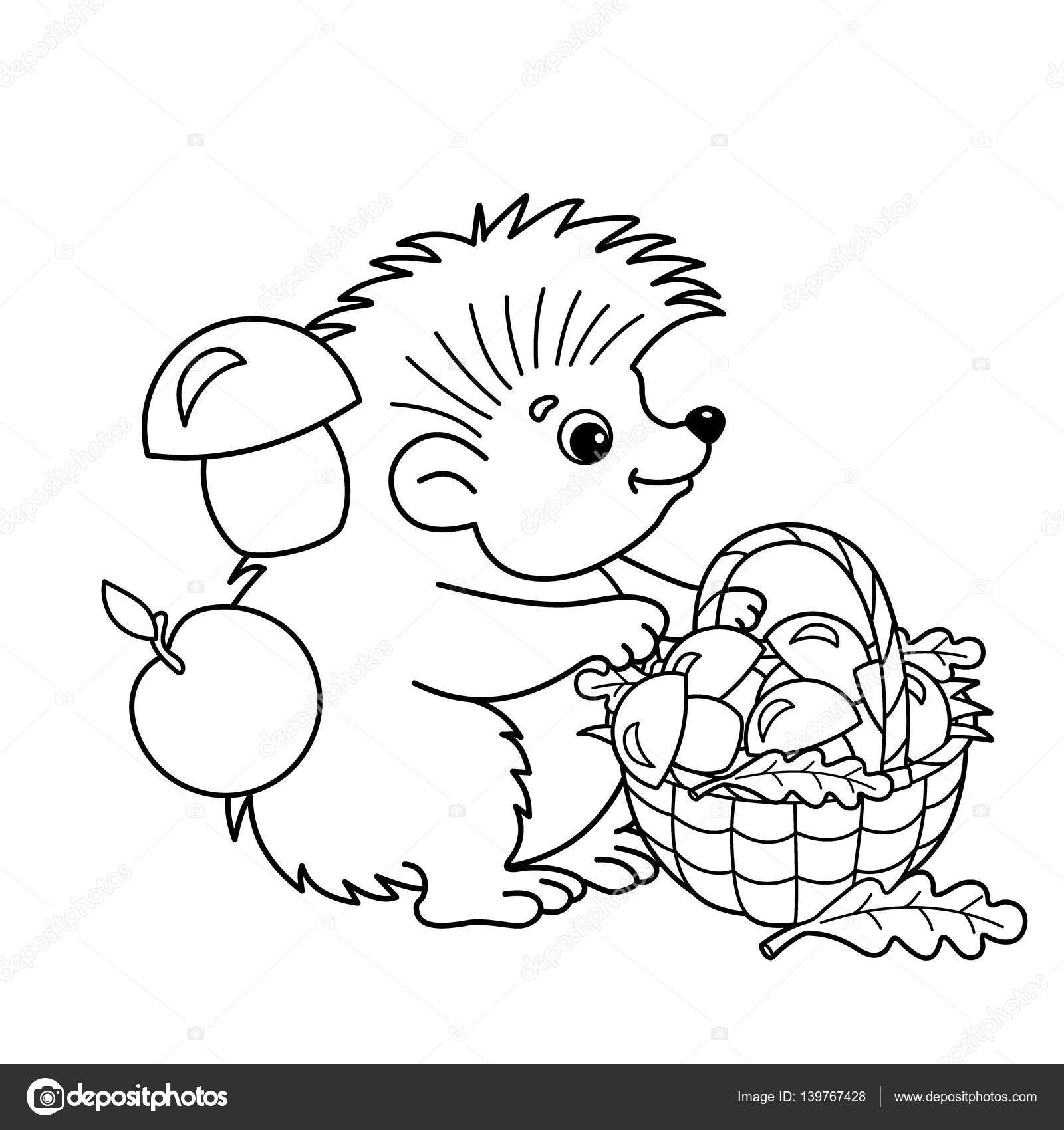 Coloring page outline of cartoon hedgehog with basket of mushrooms summer gifts of nature coloring book for kids stock vector by oleon