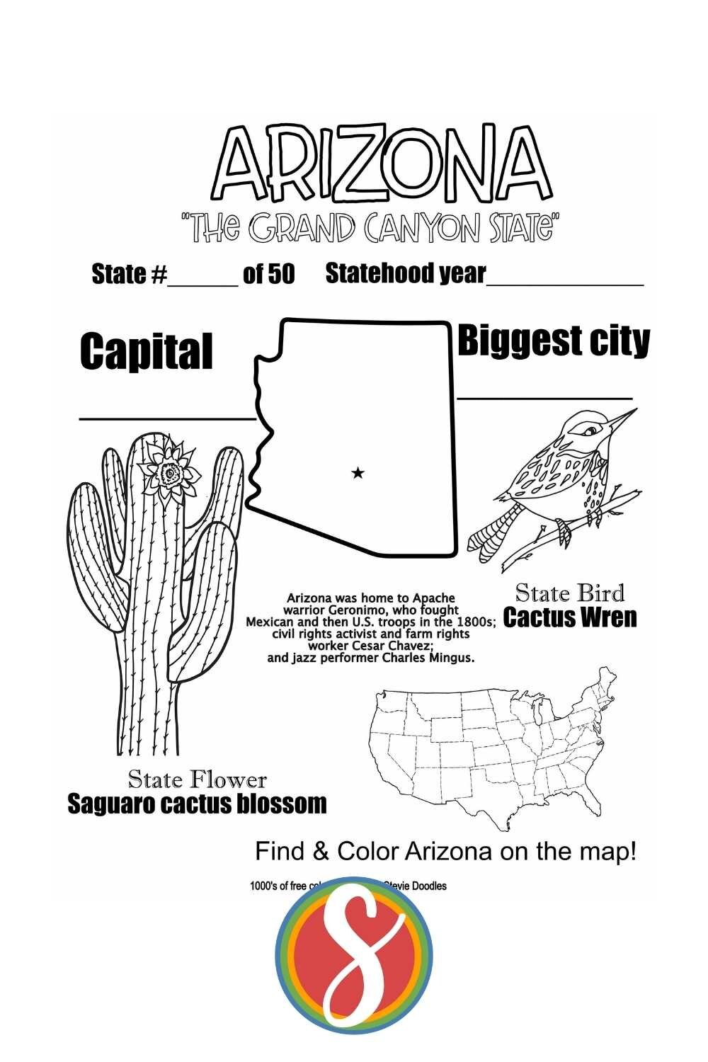 Free arizona coloring page â stevie doodles