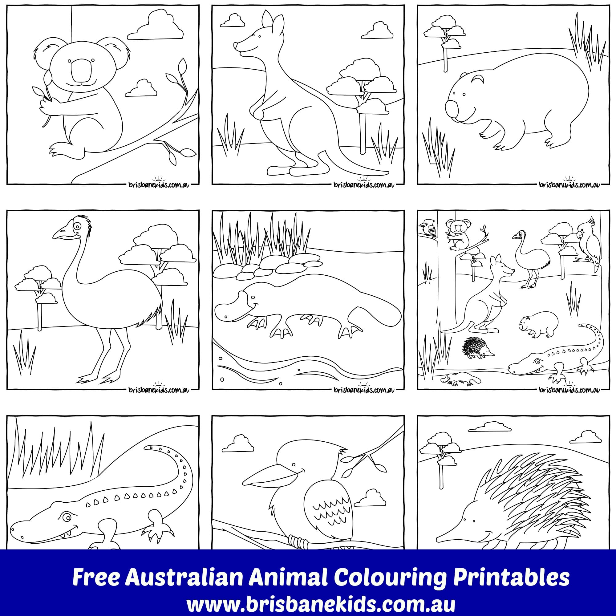 Stralian animals colouring pages