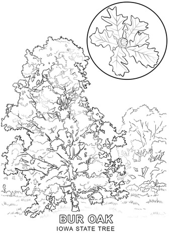 Iowa coloring pages free coloring pages