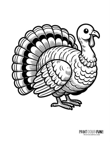 Terrific thanksgiving turkey coloring pages for some free printable holiday fun at