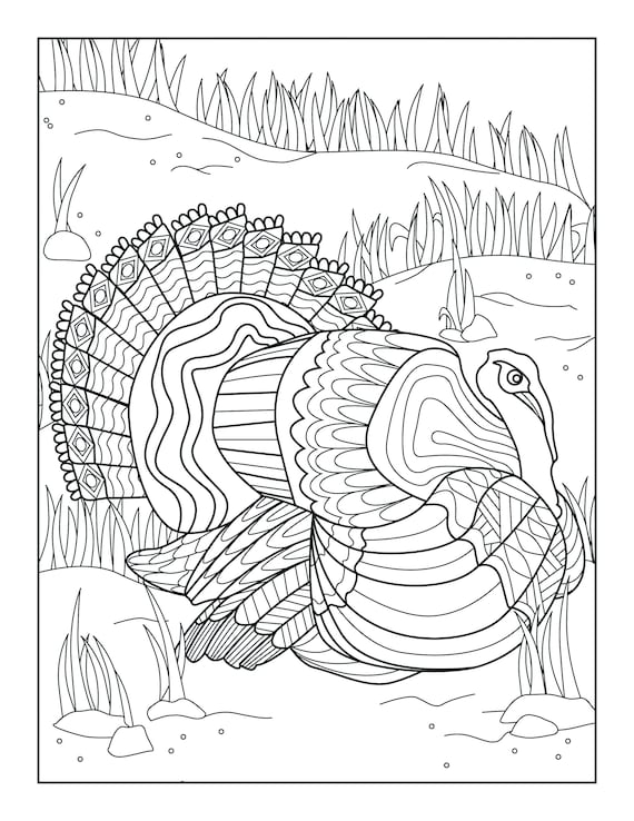 Turkey coloring pages for adults printable coloring page instant download pdf instant download