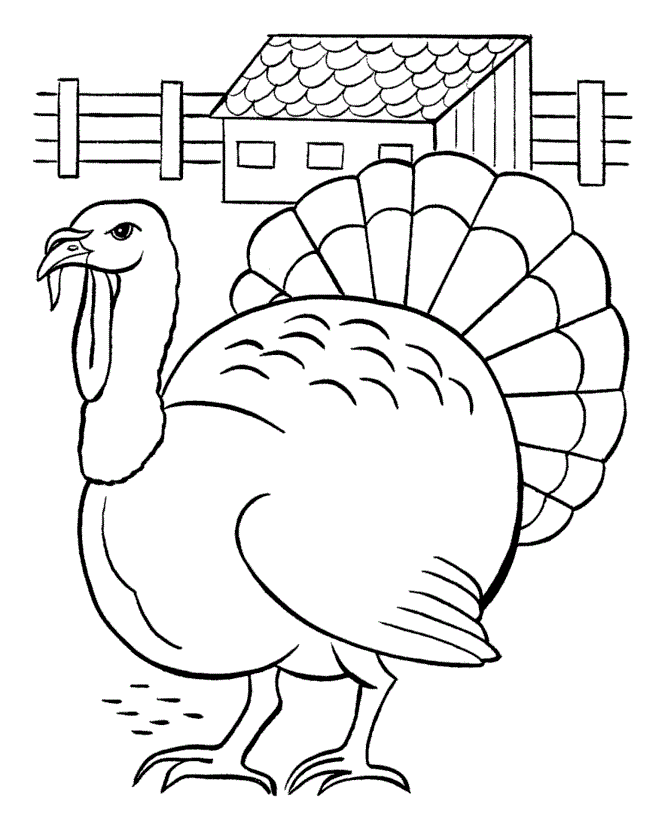 Free printable turkey coloring pages for kids