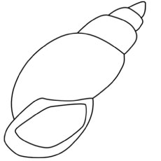 Top free printable shell coloring pages online