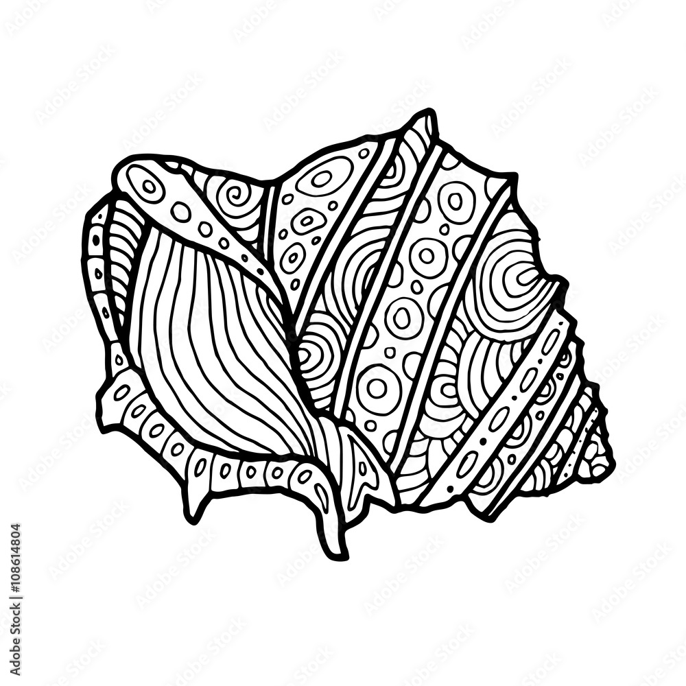 Decorative zentangle sea shell illustration outline drawing coloring book for adult and children coloring page vector printable typography for posters flyers cards t