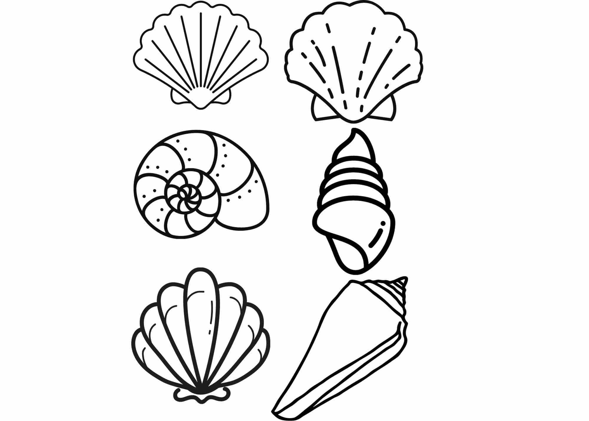 Sea shell ocean beach theme modern instant digital printable download template clipart cricut pdf svg jpg download now