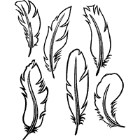 Six feathers coloring pages