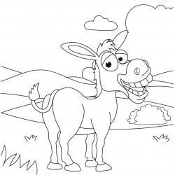 Donkeys coloring pages