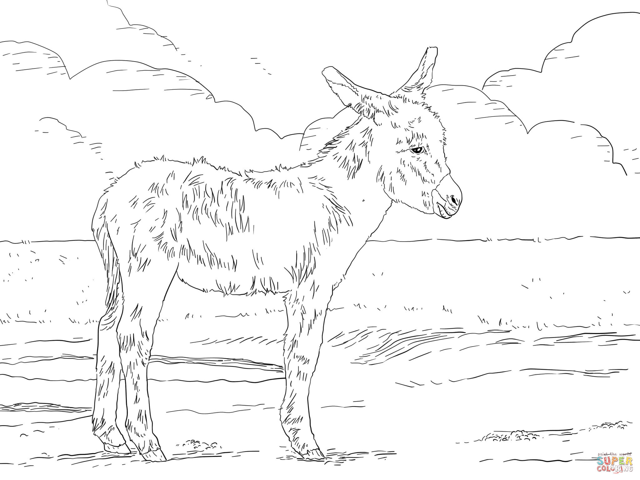 Three weeks old donkey foal coloring page free printable coloring pages