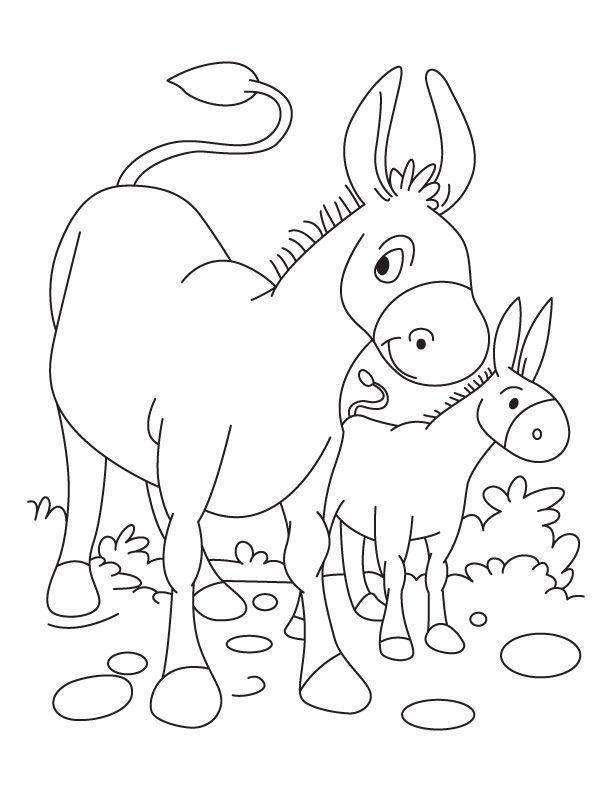 Download or print this amazing coloring page donkey and foal coloring page download free donkey and foal coloring pages donkey drawing colouring pages