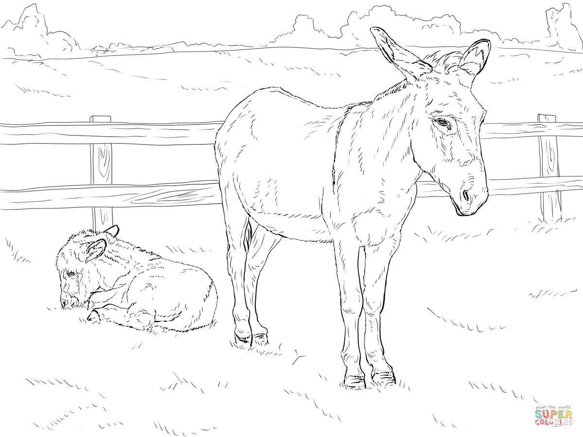 Donkey with baby coloring page free printable coloring pages