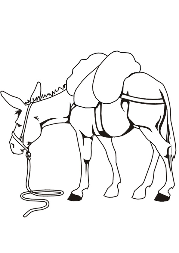 Coloring pages donkey coloring pages for kids