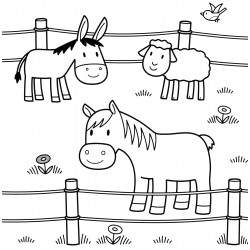 Donkeys coloring pages