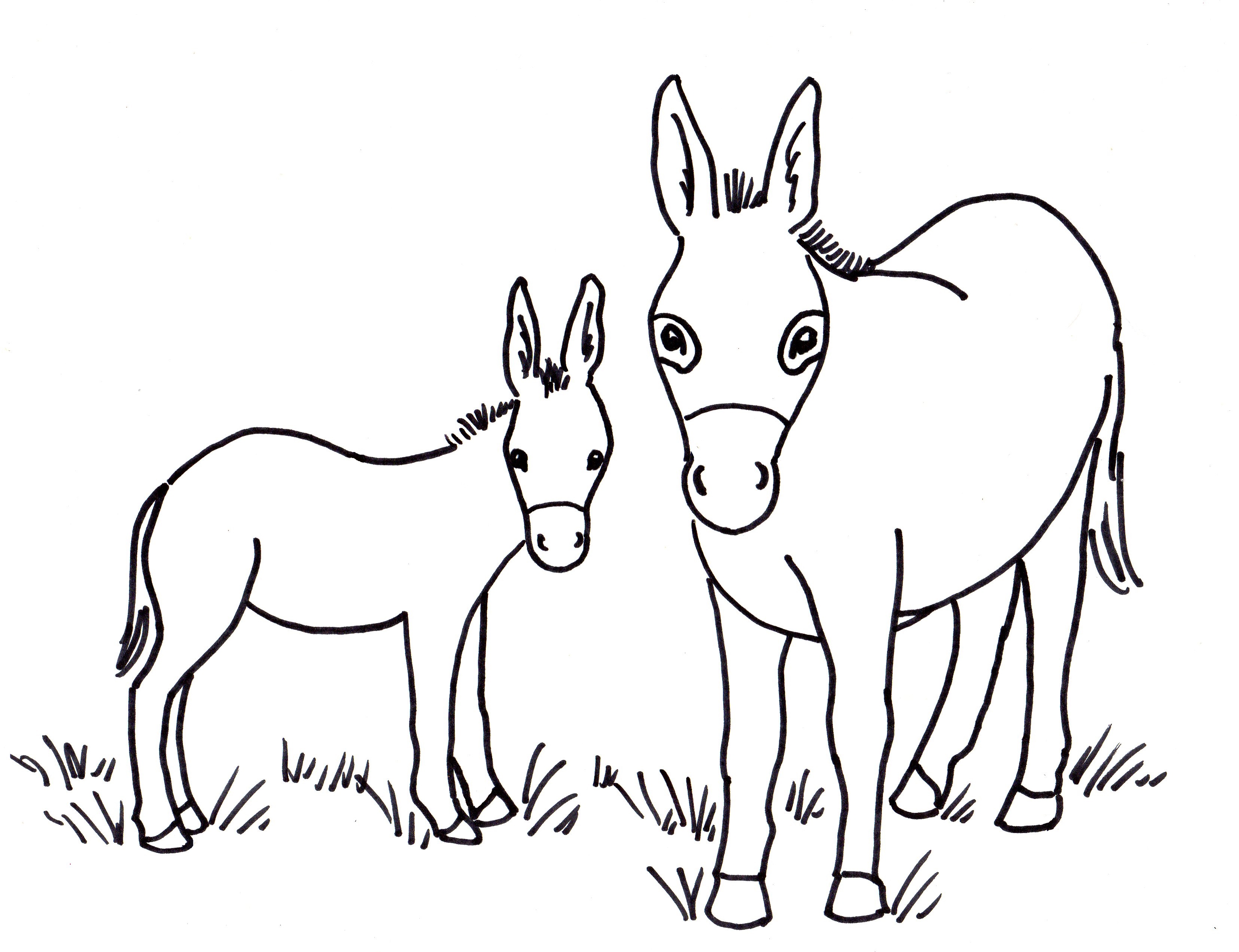 Free coloring pages and reference pictures