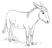 Donkeys coloring pages free coloring pages