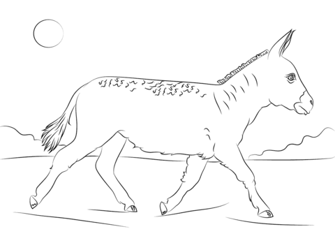 Walking donkey coloring page free printable coloring pages