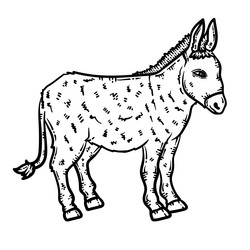 Donkey line vector images over