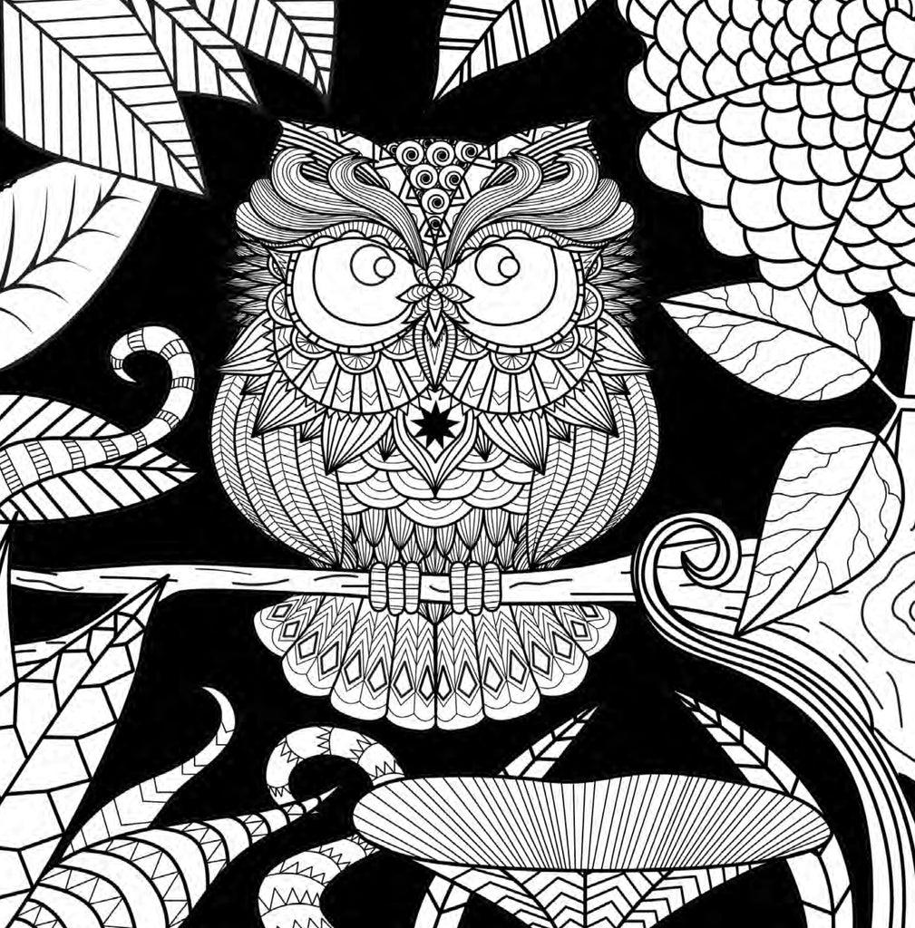 Owl coloring book for adults digital â monsoon publishing usa