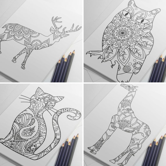 Animal coloring pages for adults owl drawing cat to color