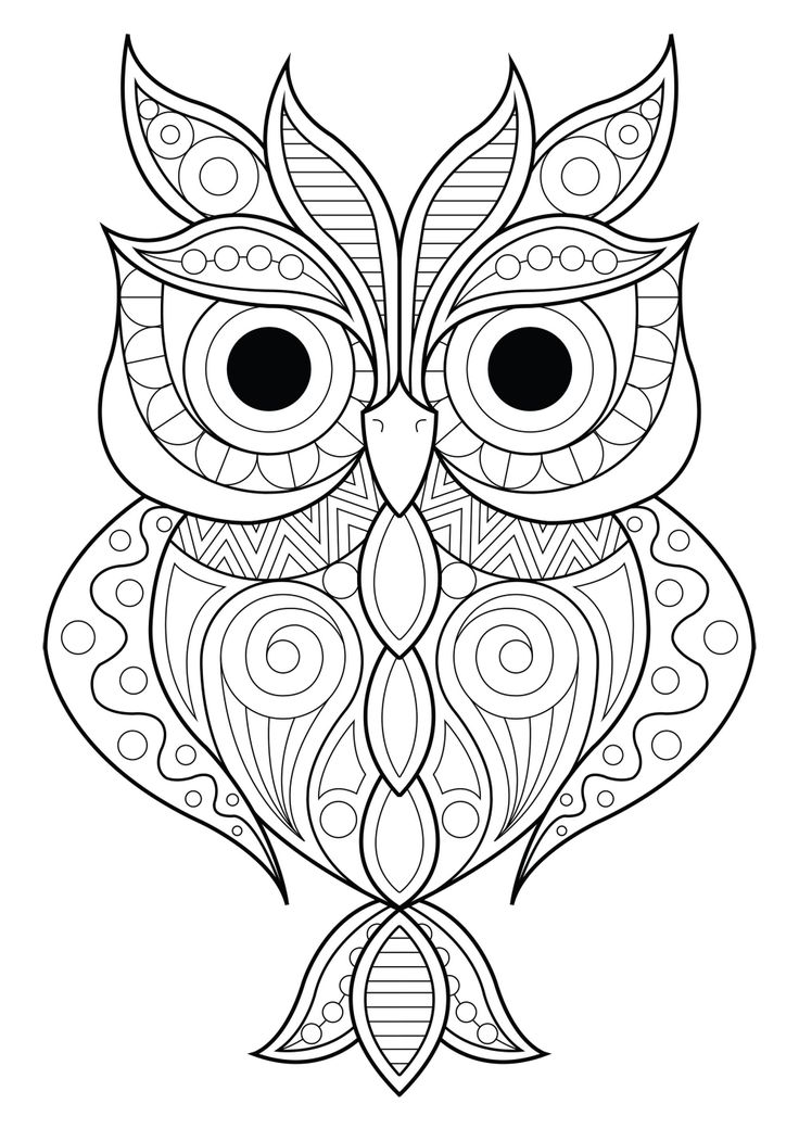 Owl with various different patterns owl coloring pages pattern coloring pages mandala coloring pages