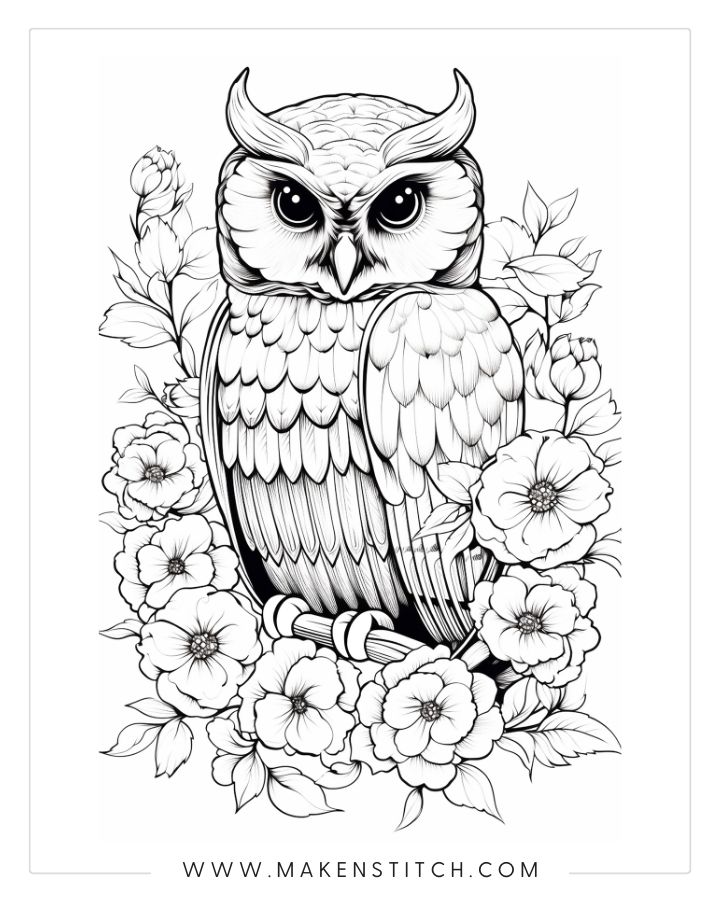 Owls coloring pages for kids and adults