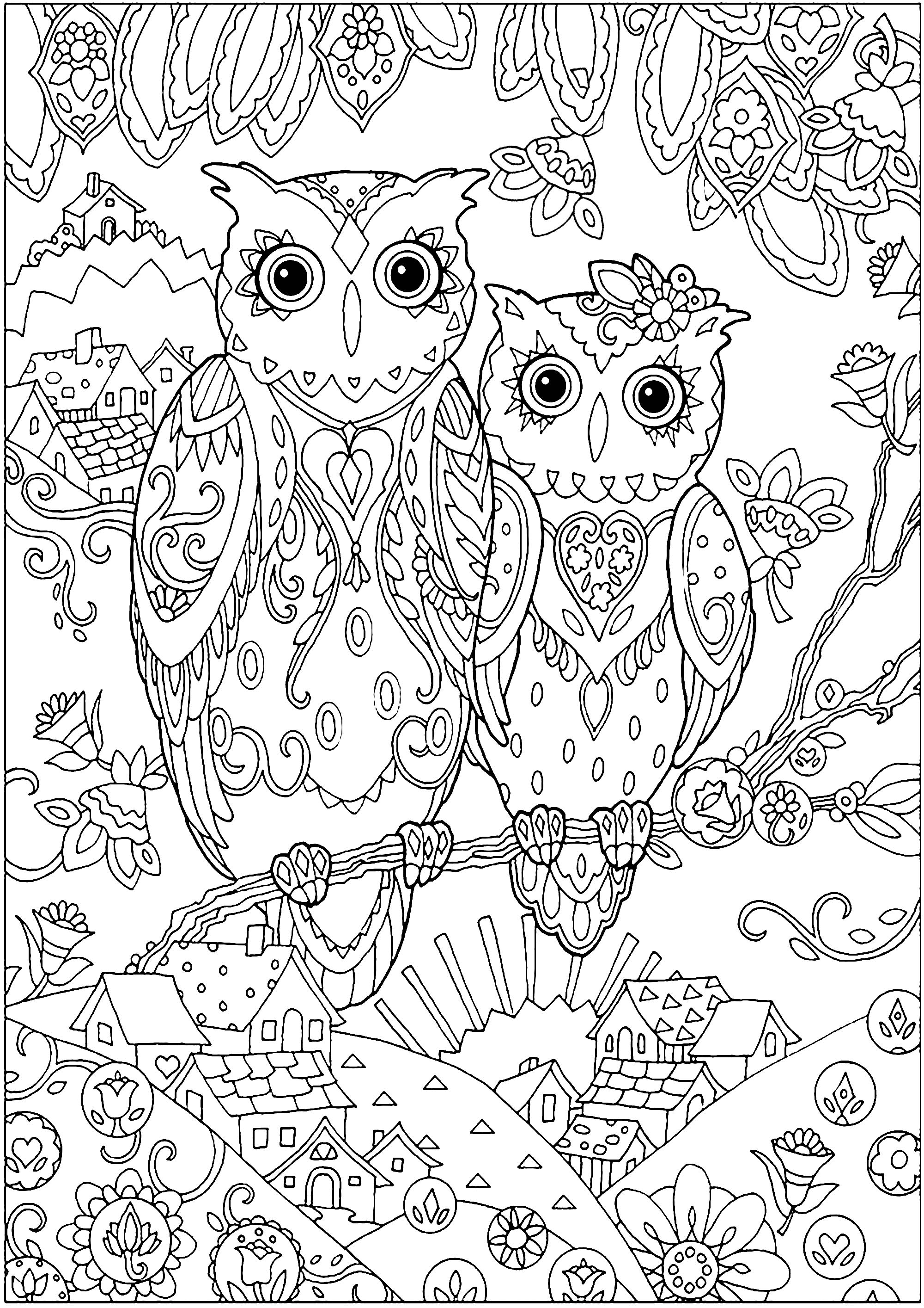 Two owls