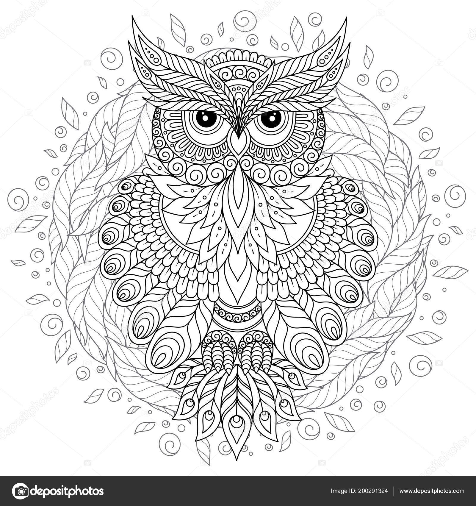 Coloring book adult older children coloring page cute owl floral stock vector by karpenyuk