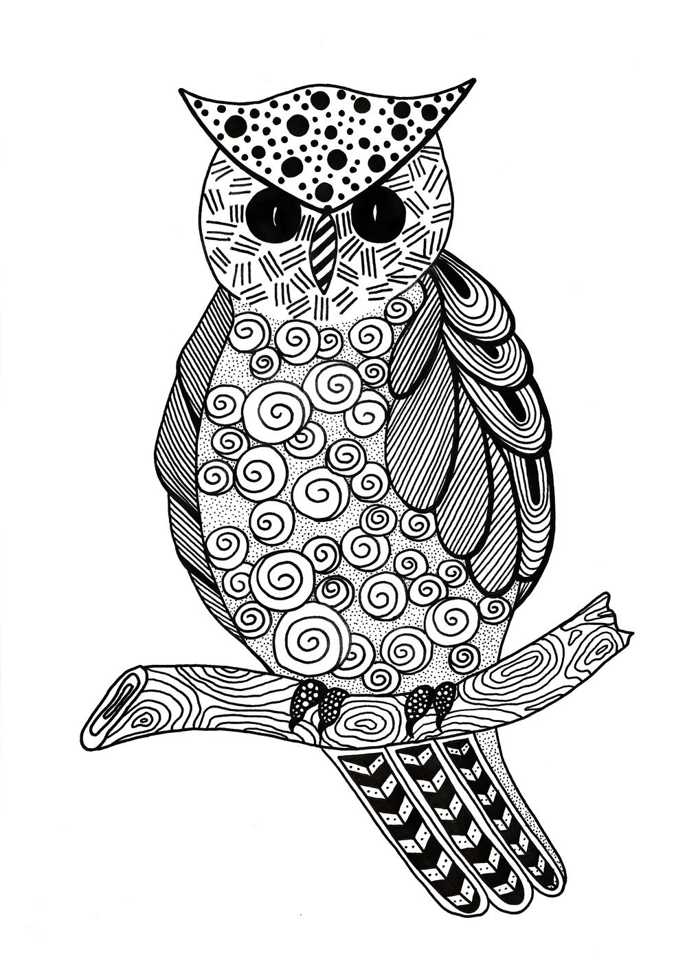 Zentangle owl adult coloring page