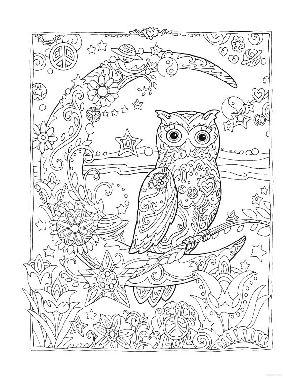 Owl coloring pages for adults free detailed owl coloring pages