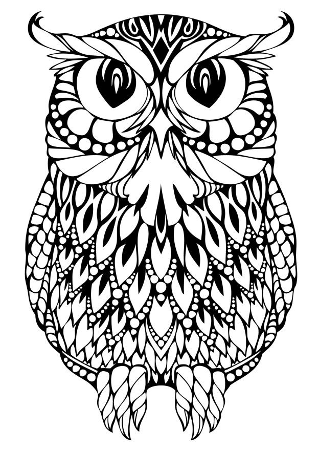 Owl coloring pages for adults free detailed owl coloring pages owl coloring pages animal coloring pages coloring pages to print