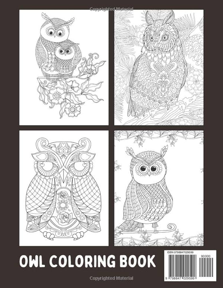 Large print owl coloring book for adult amazing owls coloring book for adult easy coloring page stress relieving and relaxation star rock books