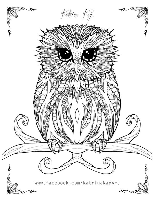 Adult coloring book page