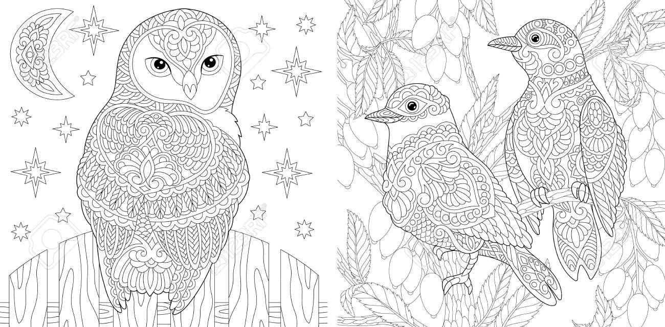 Adult coloring book beautiful owl and couple of lovely birds in the garden line art design for antistress colouring pages in zentangle style vector illustration royalty free svg cliparts vectors and stock