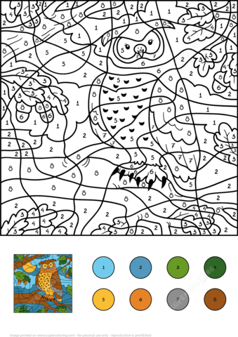 Owl color by number free printable coloring pages