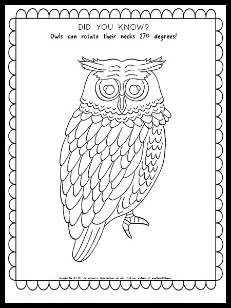 Owl coloring page with fun fact free printable â the art kit