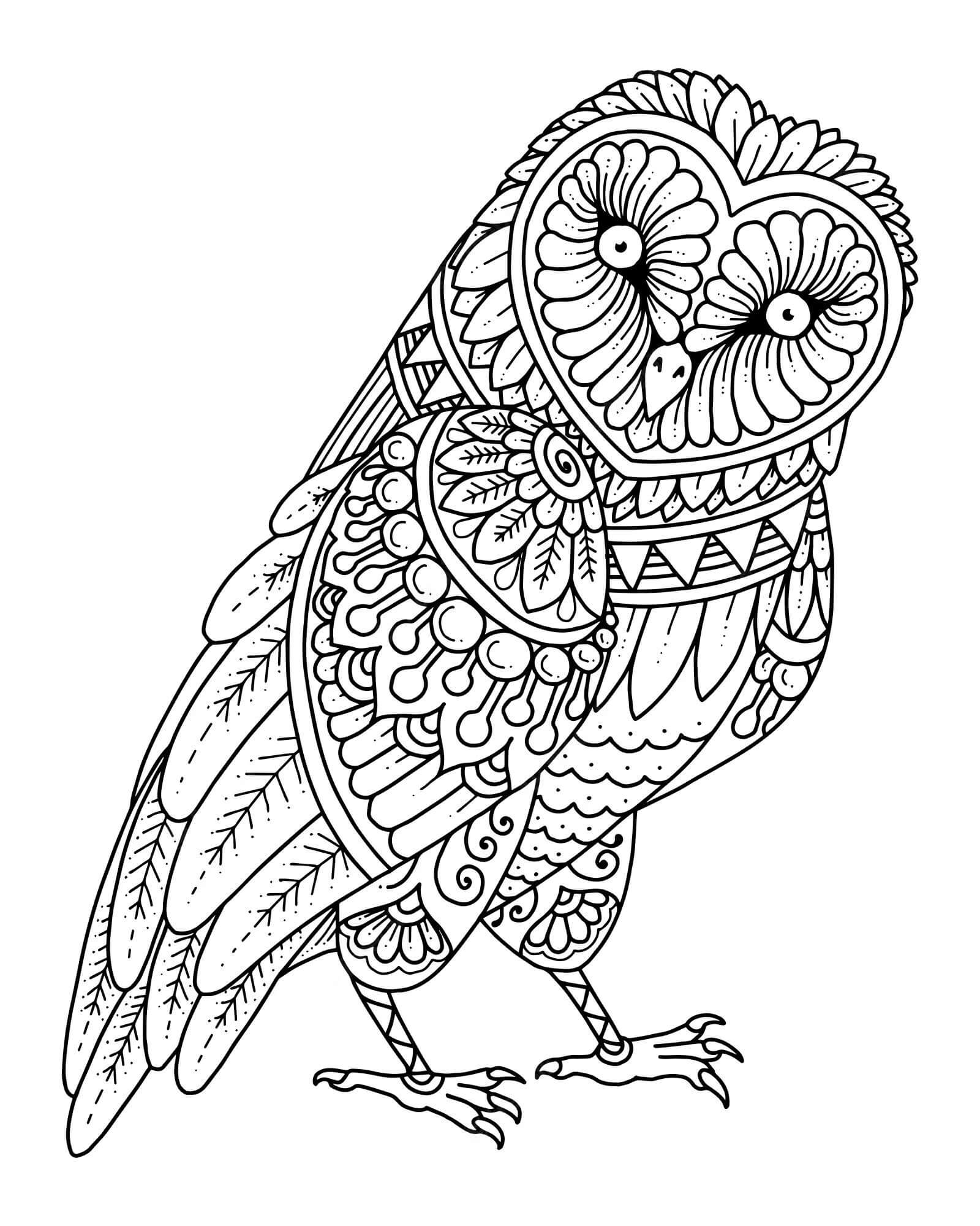 Funny owl mandala coloring page