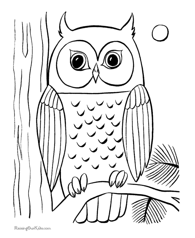 Owl bird coloring page