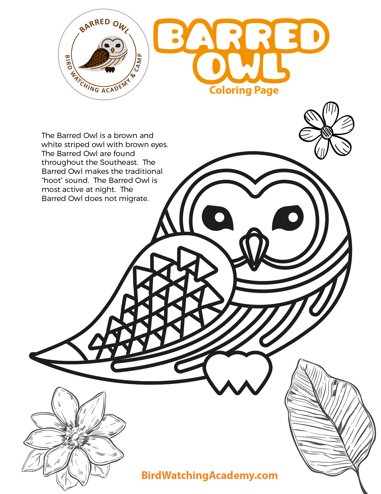 Barred owl coloring page