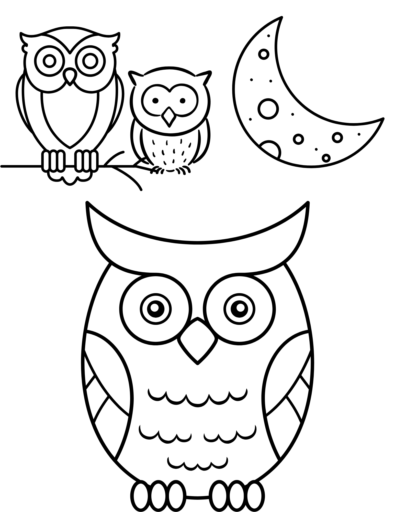 Fun owl facts and free printable owl coloring pages