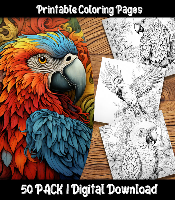 Parrot coloring pages digital pack happy colorist