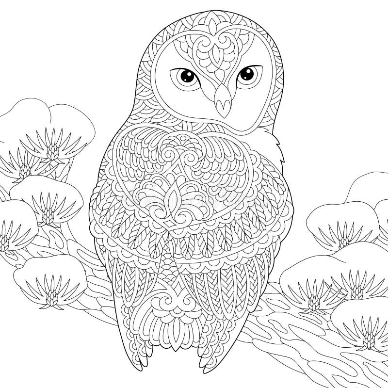 Colouring owl stock illustrations â colouring owl stock illustrations vectors clipart