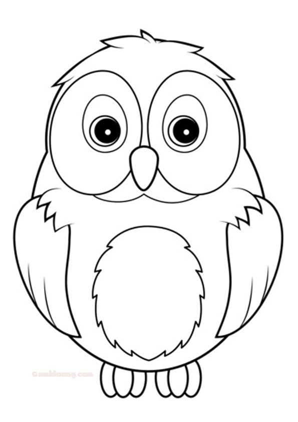 Coloring pages cute owl coloring pages for kids