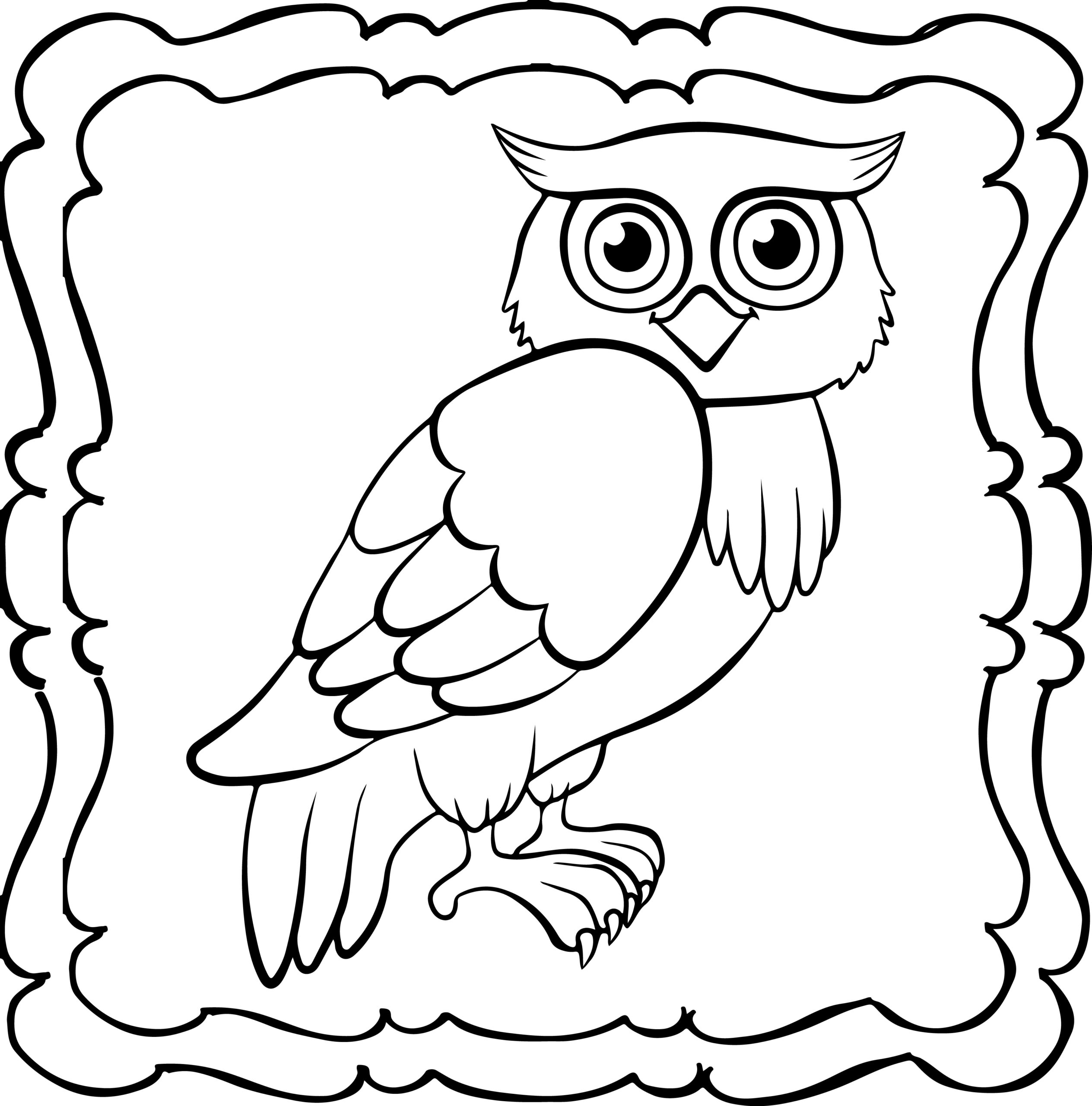 Owl coloring book easy and fun owls coloring book for kids made by teachers