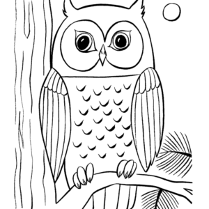 Owl coloring pages printable for free download