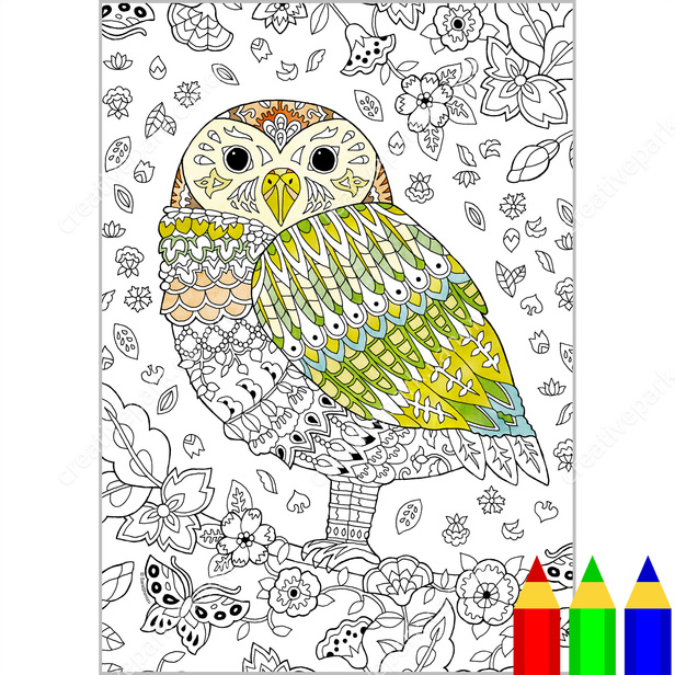 Coloring page wildlife owl