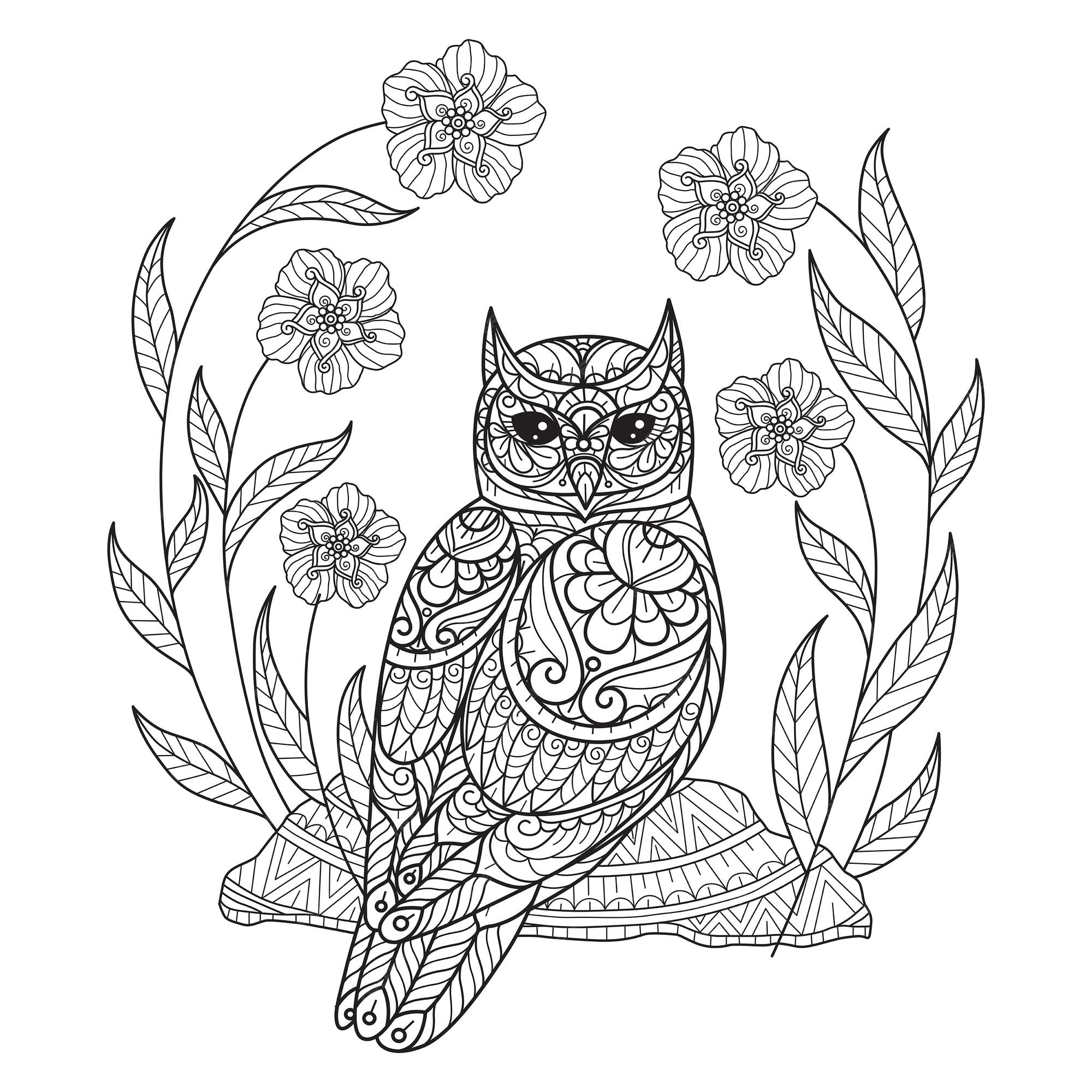 Premium vector owl and flowers hand drawn for adult coloring book