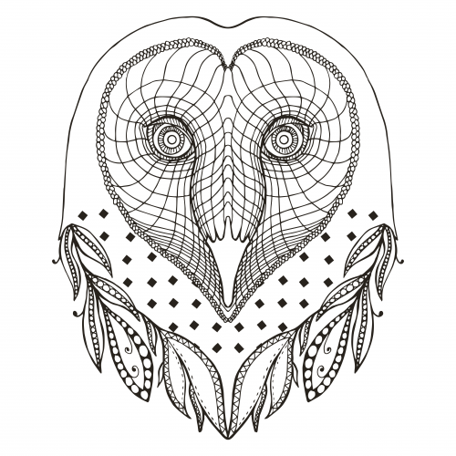 Barn owl coloring page