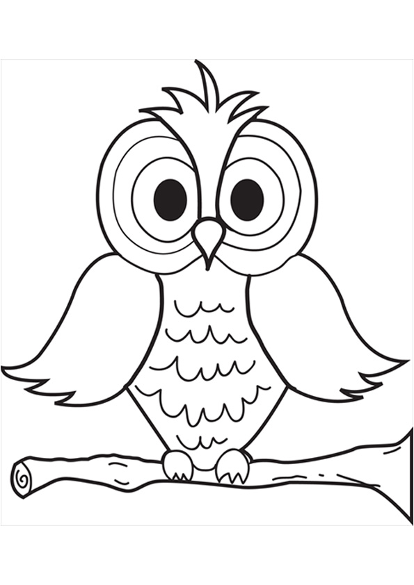 Coloring pages owl bird coloring pages for kids